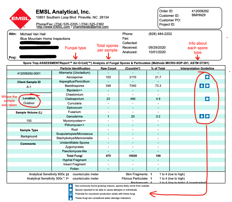 Mold Testing Air Quality and Lab Results Interpretation